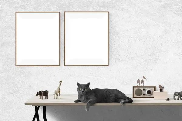News Rails Template